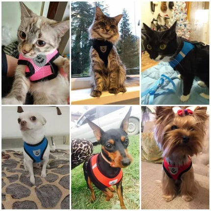 Cat Harness For Anti-Escape Cat Collar For Cats Tent Pet Assessorises Collar Bow Dog Harness Cat Antiescape  Cat Arnet Cat Leash
