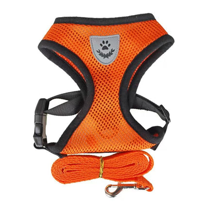 Cat Harness For Anti-Escape Cat Collar For Cats Tent Pet Assessorises Collar Bow Dog Harness Cat Antiescape  Cat Arnet Cat Leash