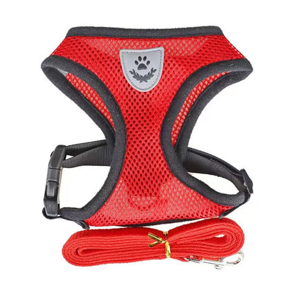 Cat Harness For Anti-Escape Cat Collar For Cats Tent Pet Assessorises Collar Bow Dog Harness Cat Antiescape  Cat Arnet Cat Leash